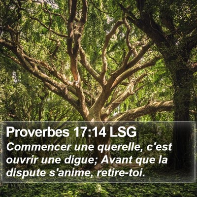 Proverbes 17:14 LSG Bible Verse Image