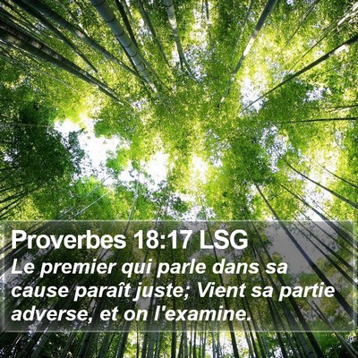 Proverbes 18:17 LSG Bible Verse Image