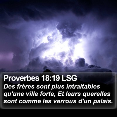 Proverbes 18:19 LSG Bible Verse Image