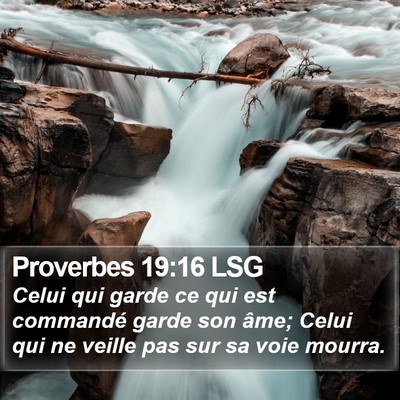 Proverbes 19:16 LSG Bible Verse Image