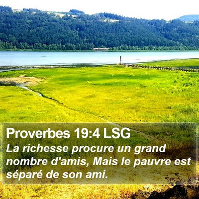 Proverbes 19:4 LSG Bible Verse Image