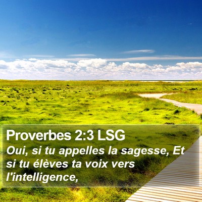 Proverbes 2:3 LSG Bible Verse Image