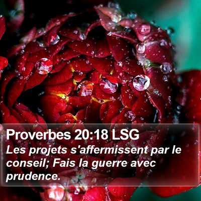 Proverbes 20:18 LSG Bible Verse Image