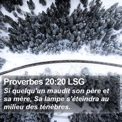 Proverbes 20:20 LSG Bible Verse Image