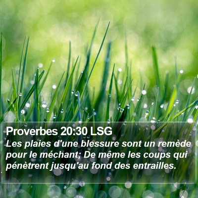 Proverbes 20:30 LSG Bible Verse Image