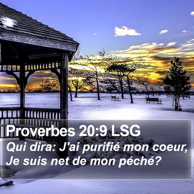 Proverbes 20:9 LSG Bible Verse Image