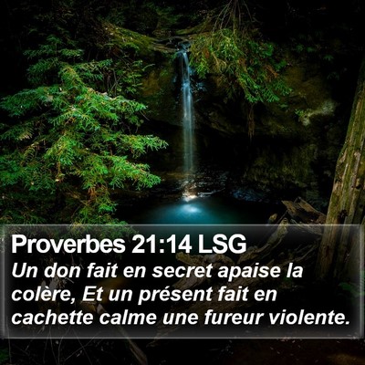Proverbes 21:14 LSG Bible Verse Image