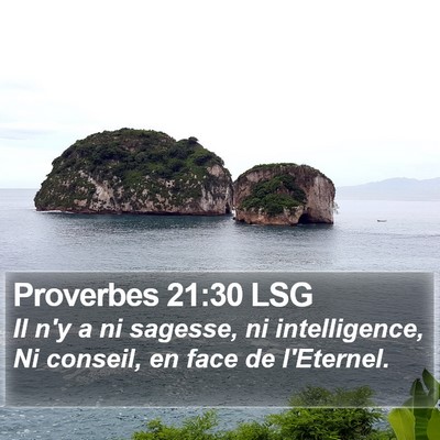 Proverbes 21:30 LSG Bible Verse Image