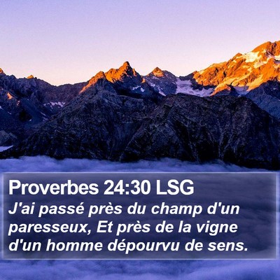 Proverbes 24:30 LSG Bible Verse Image