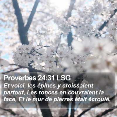 Proverbes 24:31 LSG Bible Verse Image