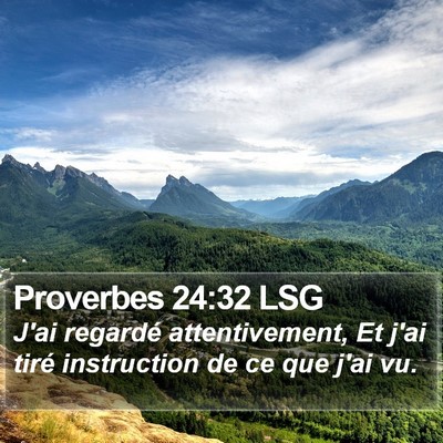 Proverbes 24:32 LSG Bible Verse Image