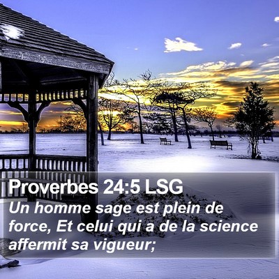 Proverbes 24:5 LSG Bible Verse Image