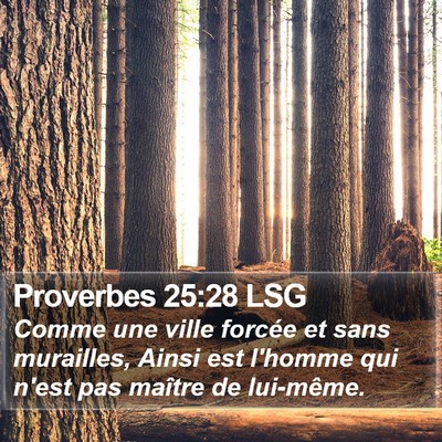 Proverbes 25:28 LSG Bible Verse Image