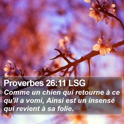 Proverbes 26:11 LSG Bible Verse Image