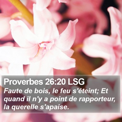 Proverbes 26:20 LSG Bible Verse Image
