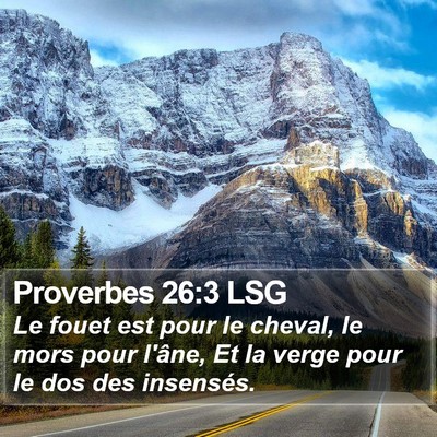 Proverbes 26:3 LSG Bible Verse Image