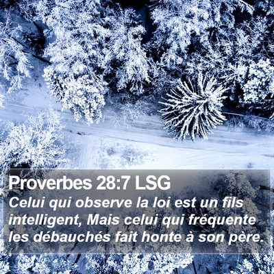 Proverbes 28:7 LSG Bible Verse Image