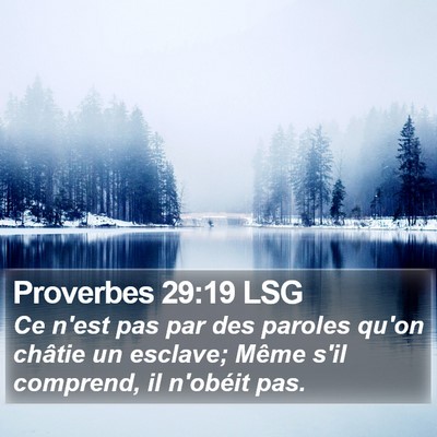 Proverbes 29:19 LSG Bible Verse Image