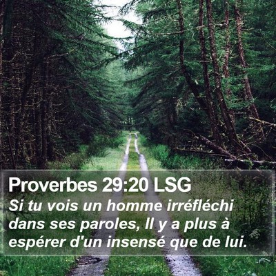 Proverbes 29:20 LSG Bible Verse Image