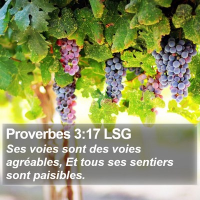 Proverbes 3:17 LSG Bible Verse Image