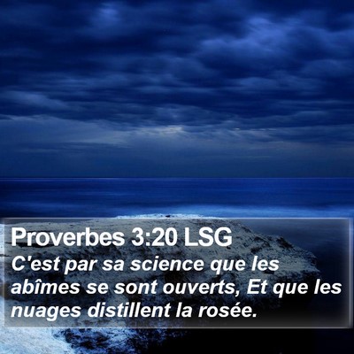 Proverbes 3:20 LSG Bible Verse Image