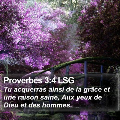 Proverbes 3:4 LSG Bible Verse Image