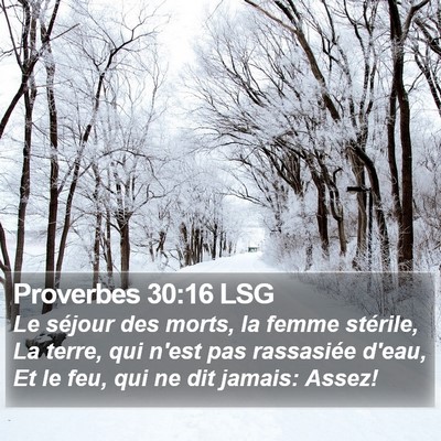 Proverbes 30:16 LSG Bible Verse Image