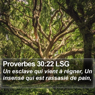 Proverbes 30:22 LSG Bible Verse Image
