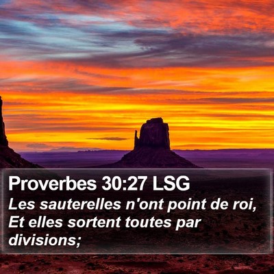 Proverbes 30:27 LSG Bible Verse Image
