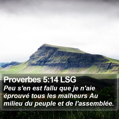 Proverbes 5:14 LSG Bible Verse Image