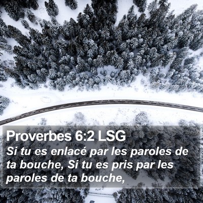 Proverbes 6:2 LSG Bible Verse Image