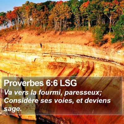 Proverbes 6:6 LSG Bible Verse Image
