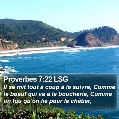 Proverbes 7:22 LSG Bible Verse Image