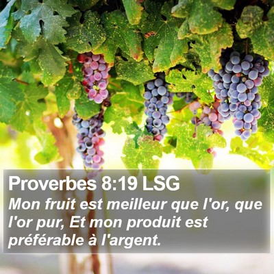 Proverbes 8:19 LSG Bible Verse Image