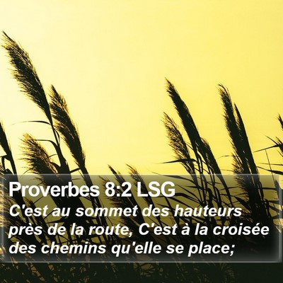 Proverbes 8:2 LSG Bible Verse Image