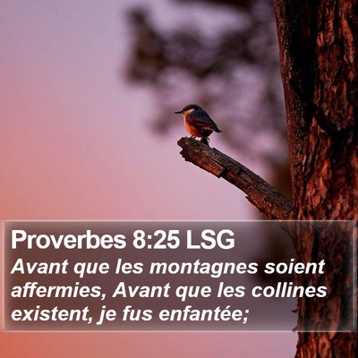 Proverbes 8:25 LSG Bible Verse Image