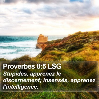 Proverbes 8:5 LSG Bible Verse Image