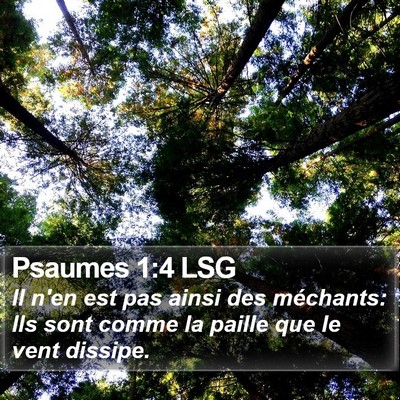 Psaumes 1:4 LSG Bible Verse Image