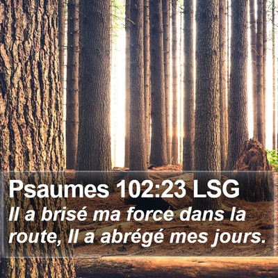 Psaumes 102:23 LSG Bible Verse Image