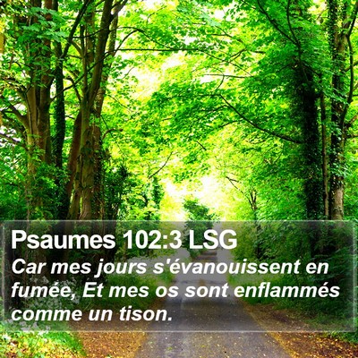 Psaumes 102:3 LSG Bible Verse Image