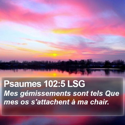 Psaumes 102:5 LSG Bible Verse Image