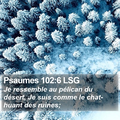 Psaumes 102:6 LSG Bible Verse Image