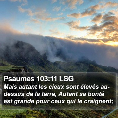 Psaumes 103:11 LSG Bible Verse Image