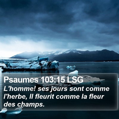 Psaumes 103:15 LSG Bible Verse Image