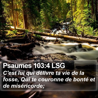 Psaumes 103:4 LSG Bible Verse Image
