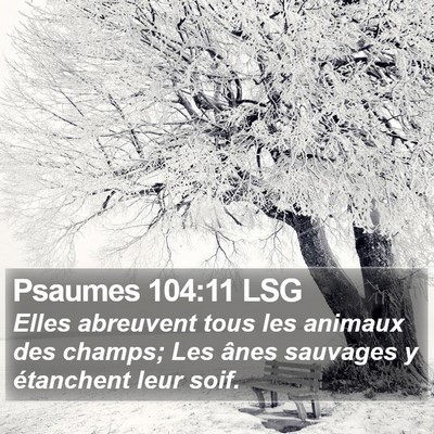 Psaumes 104:11 LSG Bible Verse Image