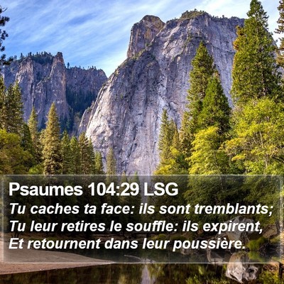 Psaumes 104:29 LSG Bible Verse Image
