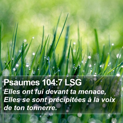 Psaumes 104:7 LSG Bible Verse Image
