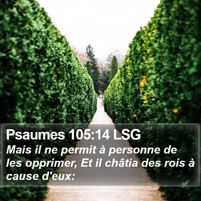 Psaumes 105:14 LSG Bible Verse Image