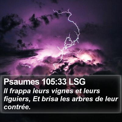 Psaumes 105:33 LSG Bible Verse Image